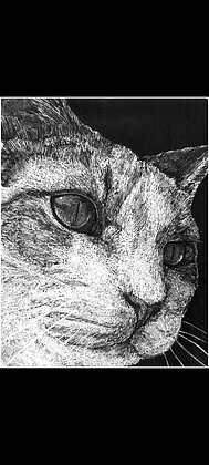 Garcia, Henry A - "Pearl's Gaze"