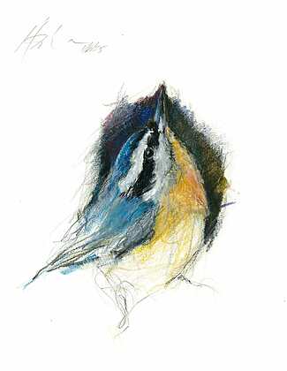 Neckar, Bruce - “Red Breasted Nuthatch"